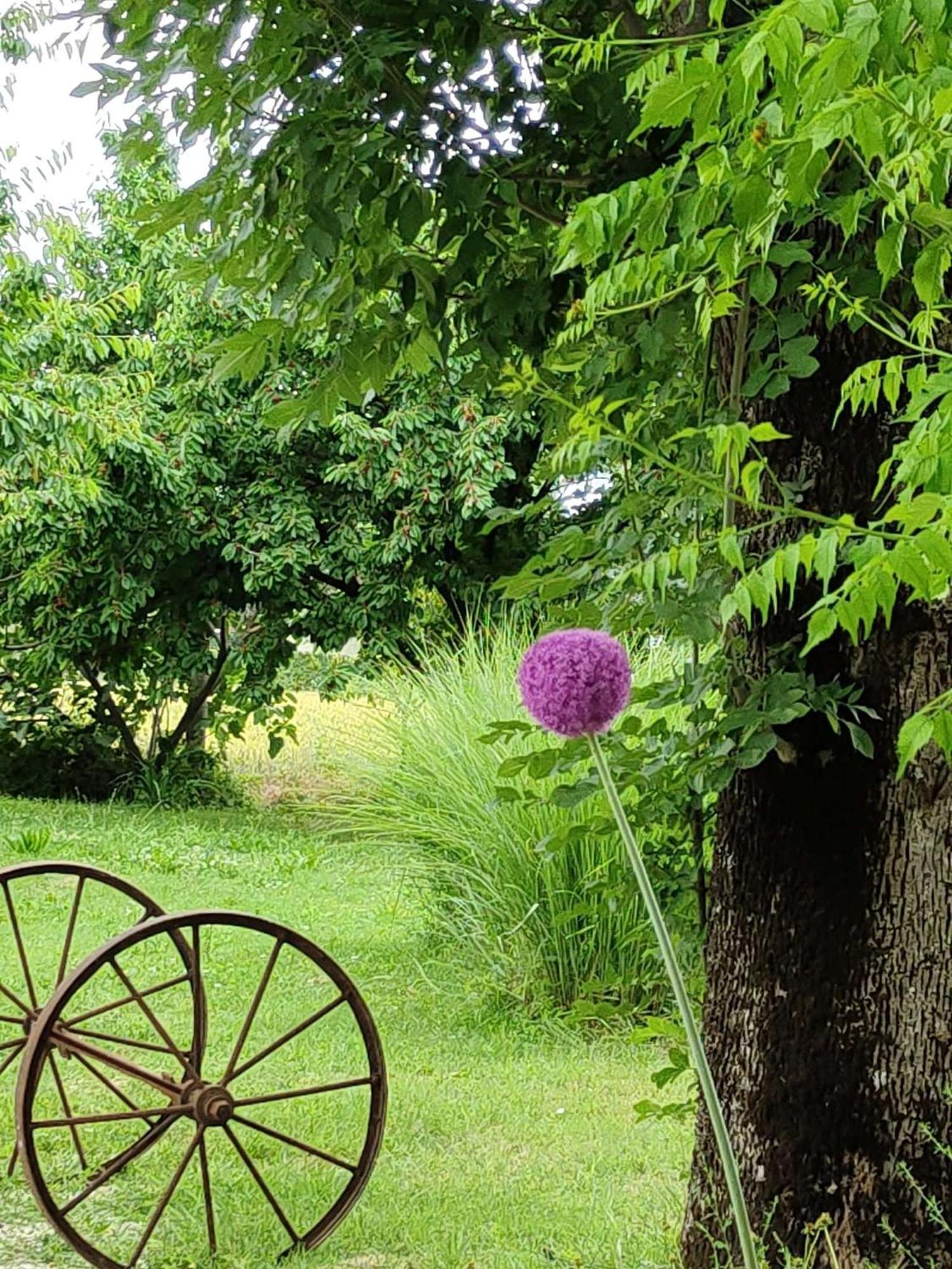 Ca Veja B&B Форли Экстерьер фото
